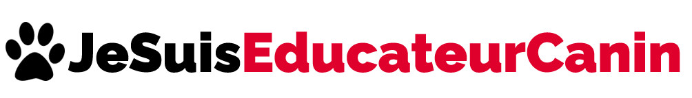 logo1-1 Liens