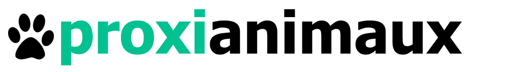 logo1 Liens