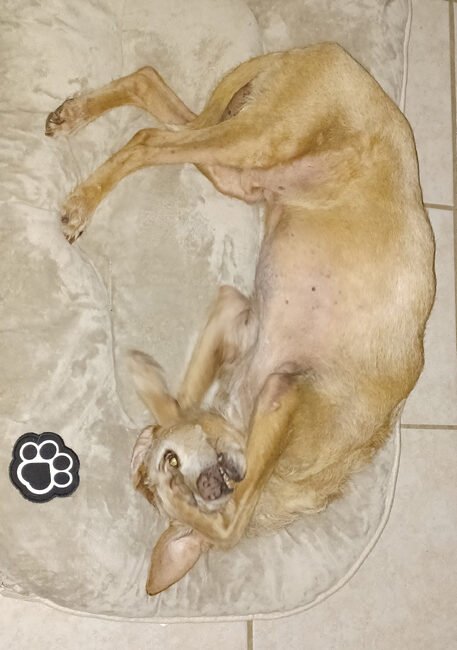 20241014_071704-rotated Funny