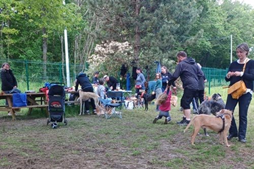 promenades-educatives-333-X Promenades (chez vous)