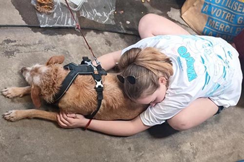 reseaux-sociaux-333-X-500 Funny