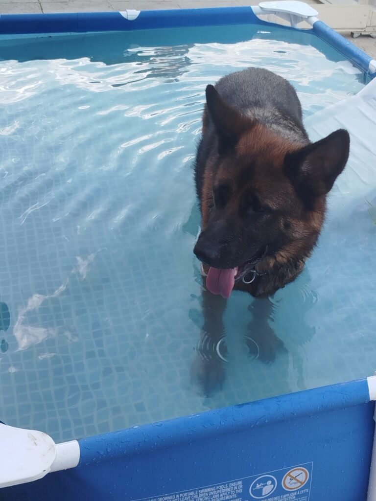 WhatsApp-Image-2026-07-17-at-19.29.59-1-768x1024 Apéro canin du 17 juillet 2026
