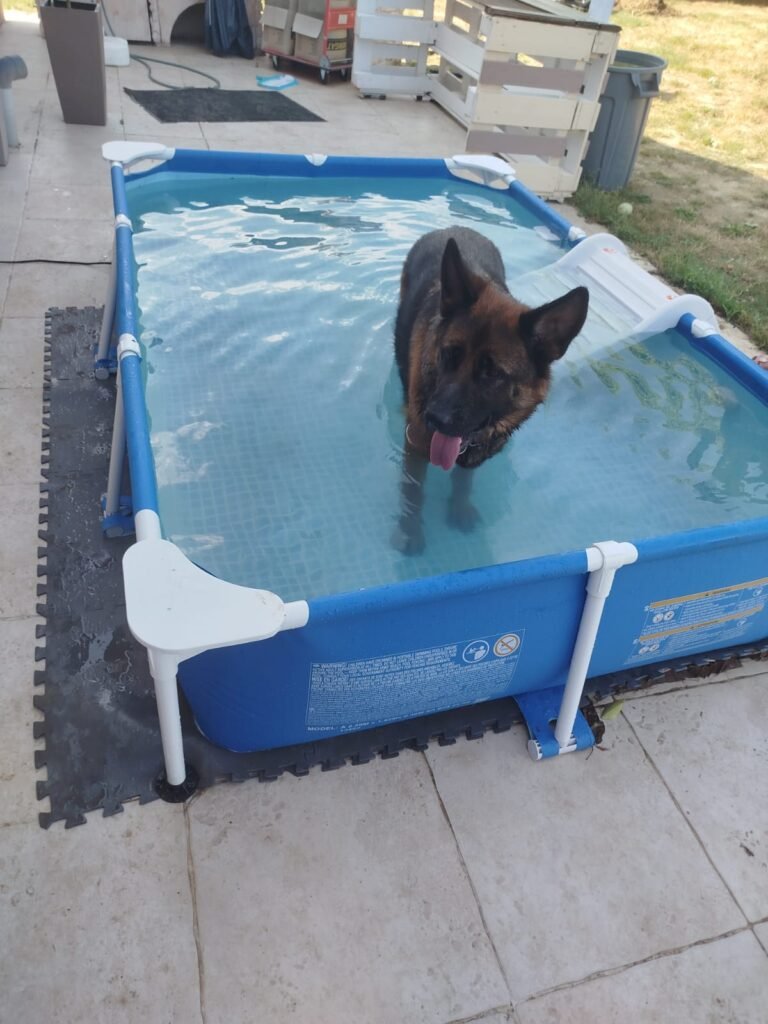 WhatsApp-Image-2026-07-17-at-19.30.00-768x1024 Apéro canin du 17 juillet 2026