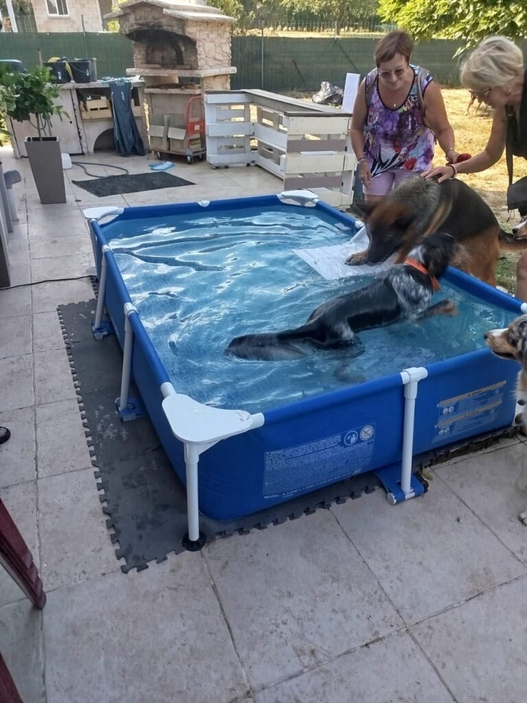 WhatsApp-Image-2026-07-17-at-19.30.01-768x1024 Apéro canin du 17 juillet 2026